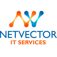 NetVector IT Services Logo