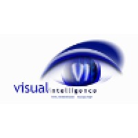 Visual Intelligence, LLC Logo