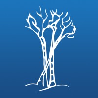 Birchwood Credit Services Logo