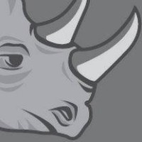 KaizenRhino Solutions International Consultancy Logo
