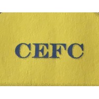 COST ESTIMATING AND FINANCE CONSULTANTS LIMITED Logo