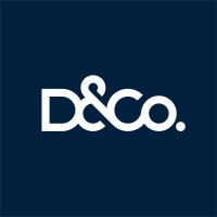 D&Co. Strategic Mind Big Ideas Logo