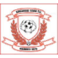 Ringwood Town FC Logo