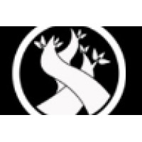 DMS Design Studio Logo