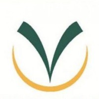 The Voice Clinic Logo
