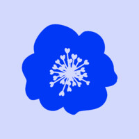 Belreis Logo