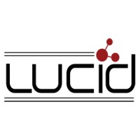 Lucid Infotech Logo
