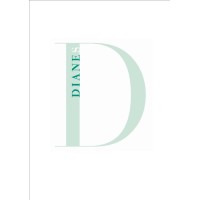 Dianes Executive Search Logo