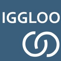 Iggloo Insights Logo