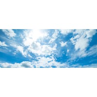 MEADOWS CAPITAL MANAGEMENT LLP Logo