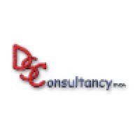 DS Consultancy BV Logo