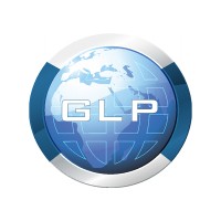 Global Light & Power LLC Logo