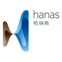 Ningxia Hanas New Energy Group Logo