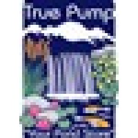 True Pump & Equipment, Inc. Logo