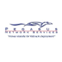 Pegasus Network Services, Inc. Logo