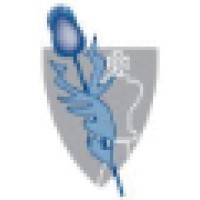 Nidva Logo
