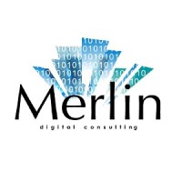 Merlin Digital Consulting Logo
