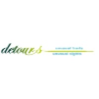 Detours India Logo