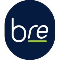 BRAND REACTION LIMITED Logo