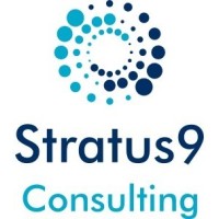 STRATUS9 CONSULTING LTD Logo