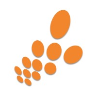 Canal Telecom Tecnologia Logo