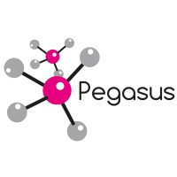 PEGASUS CHEMICALS Logo