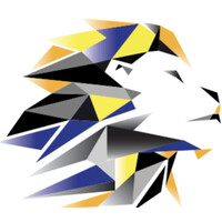TMI Universal Logo