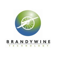 Brandywine Technology Logo