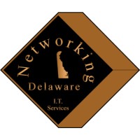 Networking Delaware, LLC Logo