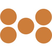 Webnetism Logo