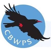 Cornwall Birds (CBWPS) Logo