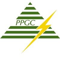 PPN Power Generating Company Private Limited Logo