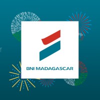BNI Madagascar Logo