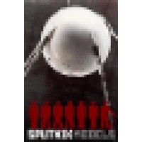 Sputnik Enterprises Inc. Logo