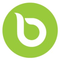BARG System Logo