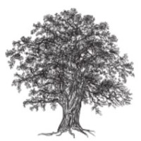 OAKWOOD MANAGEMENT CONSULTING LIMITED Logo
