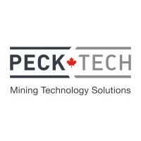 Peck Tech Consulting Ltd. Logo