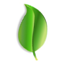 POLYPHARMAKOS LIMITED Logo