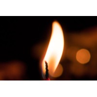 FENNER MCGUIRE LIMITED Logo