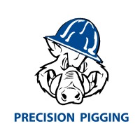 Precision Pigging Holdings, LLC Logo