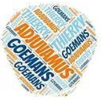 ADJUVAMUS MANAGEMENT SUPPORT Logo