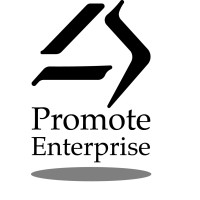 PROMOTE ENTERPRISE LTD Logo