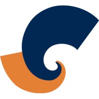 Digital Maelstrom Logo