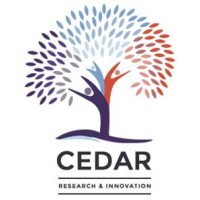 Cedar Insight Logo