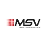 Maartens Sound & Vision - MSV Logo