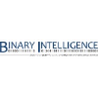 Binary Intelligence Logo