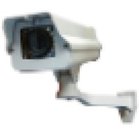 DALLAS SECURE SYSTEMS Logo