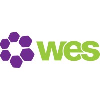 Womens Engineering Society Logo