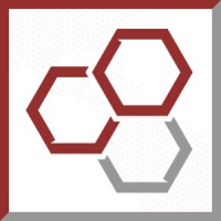 SKINGEN INTERNATIONAL Logo