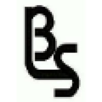 Big Lake Services Logo
